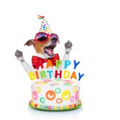jack russell dog as a surprise singing birthday song behind funny cake wearing red tie and party hat isolated on white background